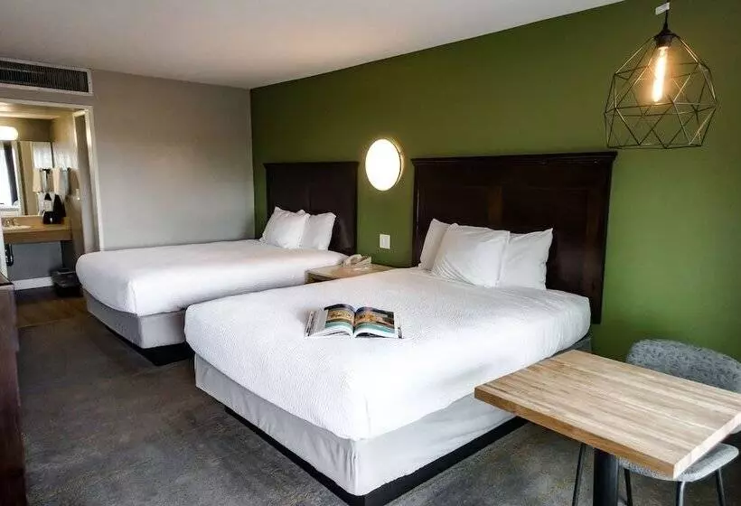 Vagabond Motor Hotel   Palm Springs