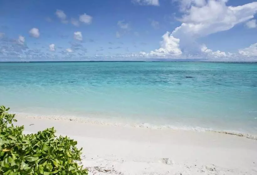 هتل Riveli Retreat Mathiveri