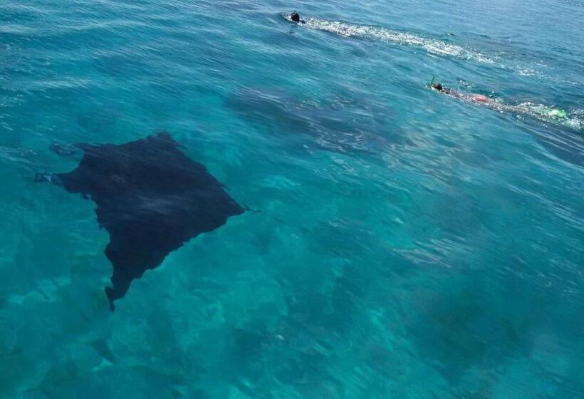 هتل Riveli Retreat Mathiveri