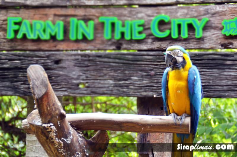 酒店 Az Homestay @ Southville City