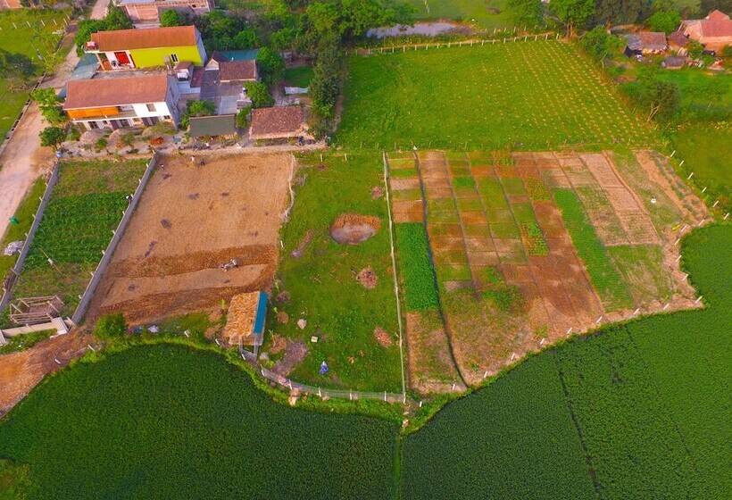 Hotel Jungle Boss Homestay