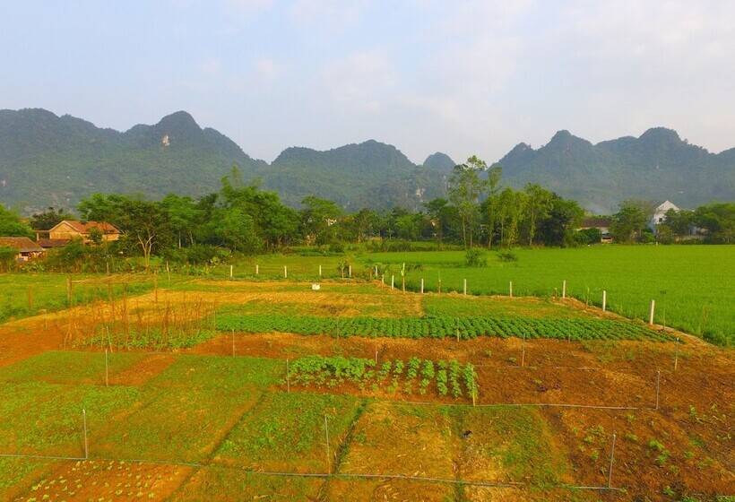 Hotel Jungle Boss Homestay