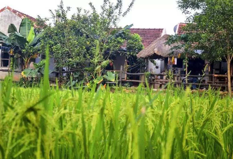 هتل Jungle Boss Homestay