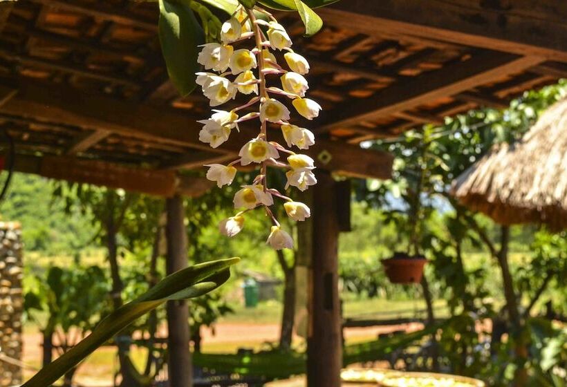 Hotel Jungle Boss Homestay