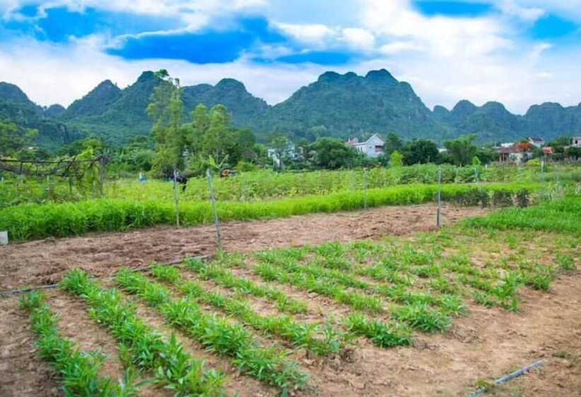 Hotel Jungle Boss Homestay