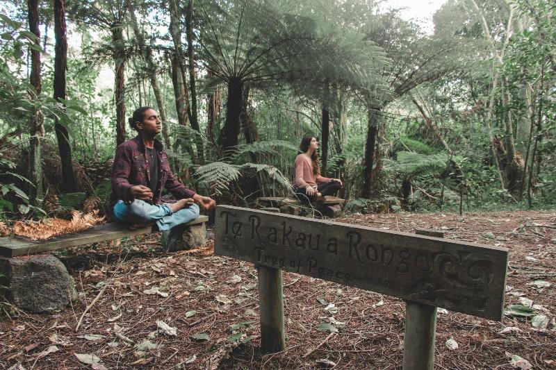 酒店 Kawai Purapura Retreat Centre