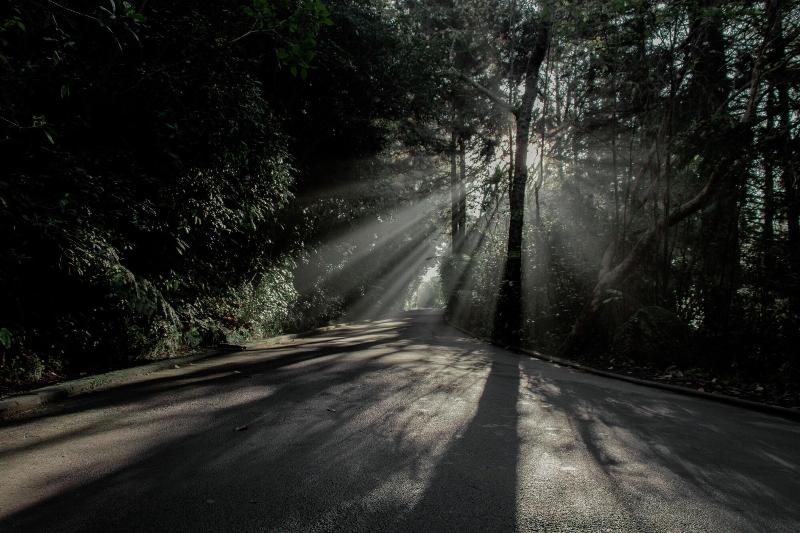 酒店 Kawai Purapura Retreat Centre