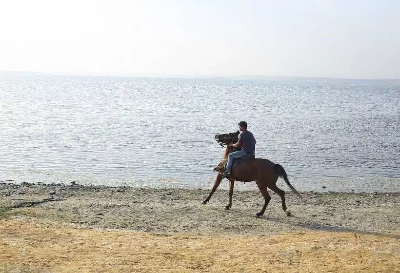 هتل New Panorama Resort