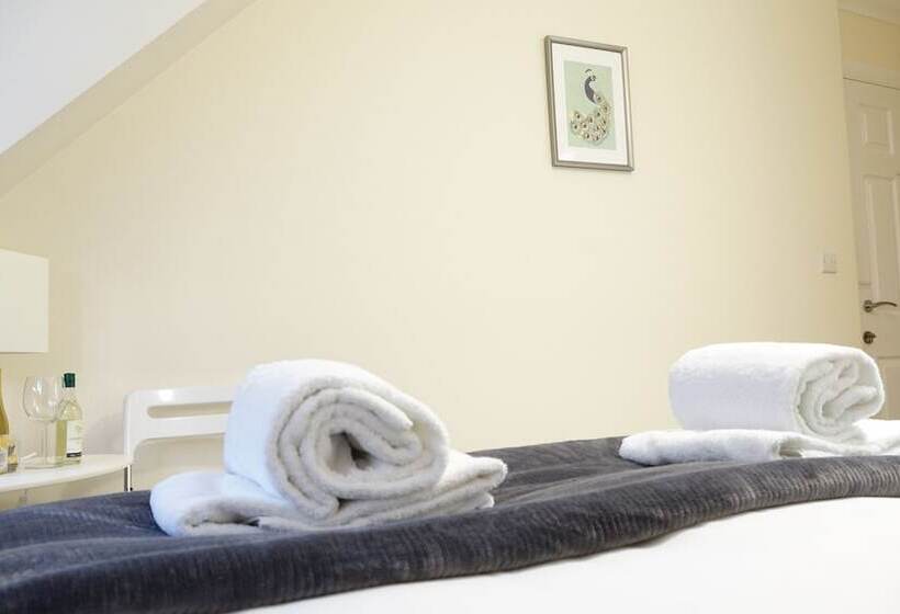 酒店 Rc Airport Rooms