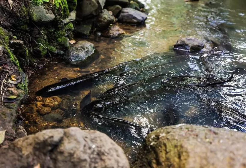 Hotelli Tasman Holiday Parks   Waihi Beach