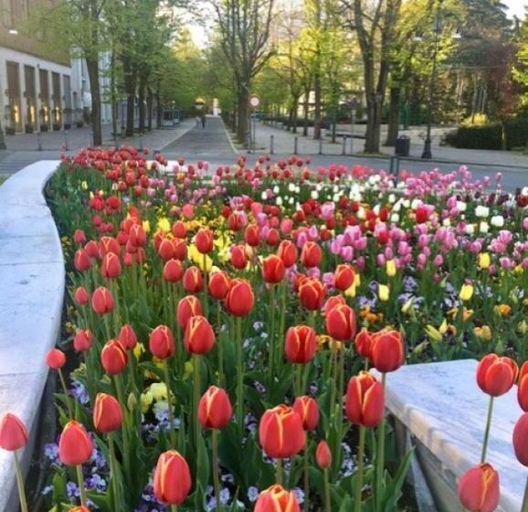 پانسیون Room E Breakfast Diana E Ninni Salsomaggiore Terme
