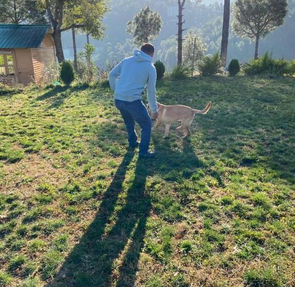 منتجع Golden Valley Cottages, Chail