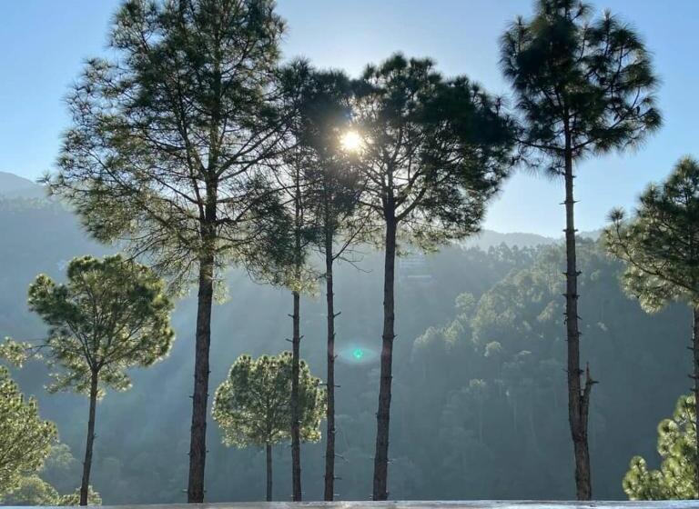 منتجع Golden Valley Cottages, Chail