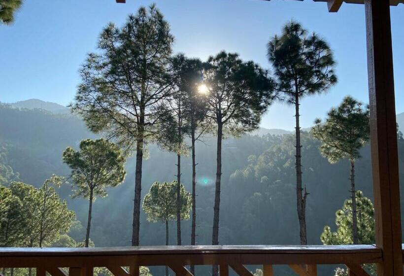 منتجع Golden Valley Cottages, Chail