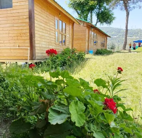 リゾートホテル Golden Valley Cottages, Chail