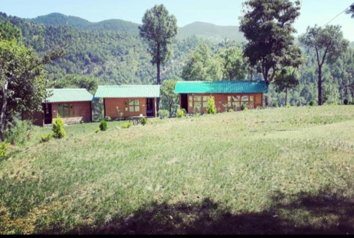 منتجع Golden Valley Cottages, Chail