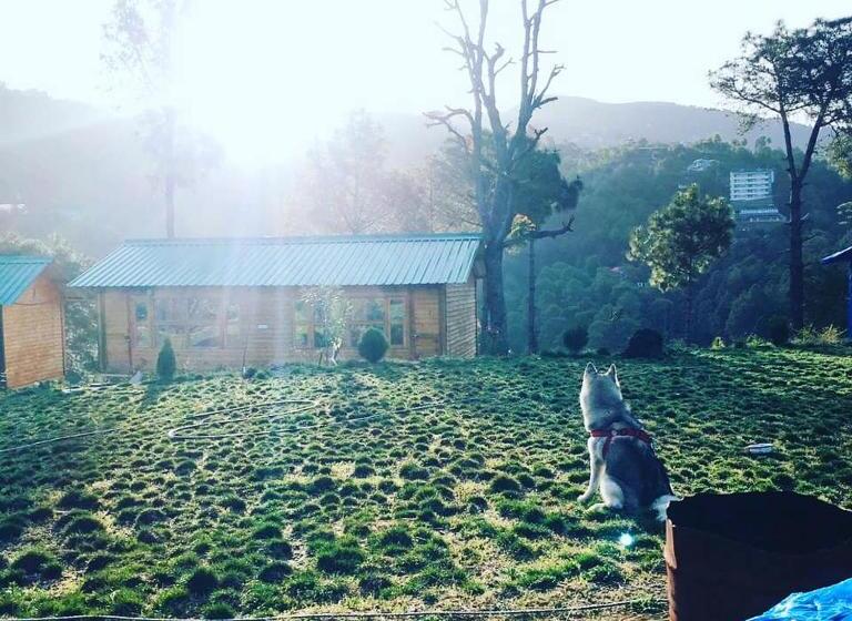 منتجع Golden Valley Cottages, Chail