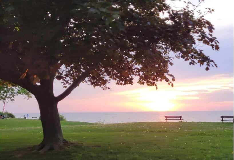 مبيت وإفطار La Maison De Sophie