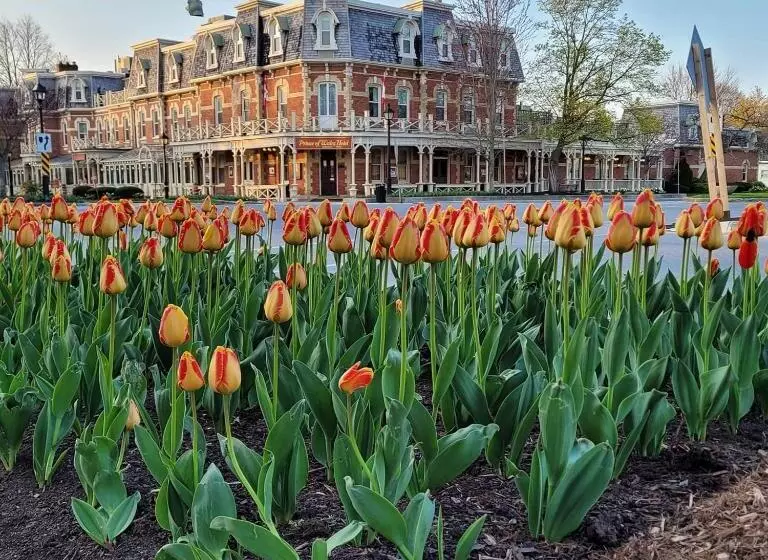 Aamiaismajoitus (B&B) La Maison De Sophie
