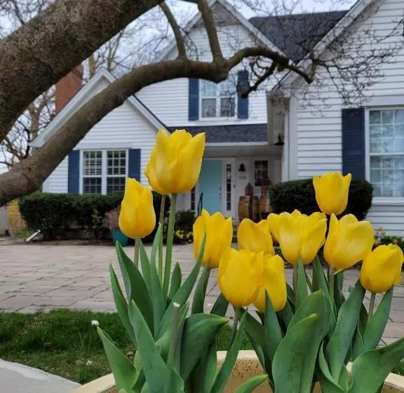 Aamiaismajoitus (B&B) La Maison De Sophie