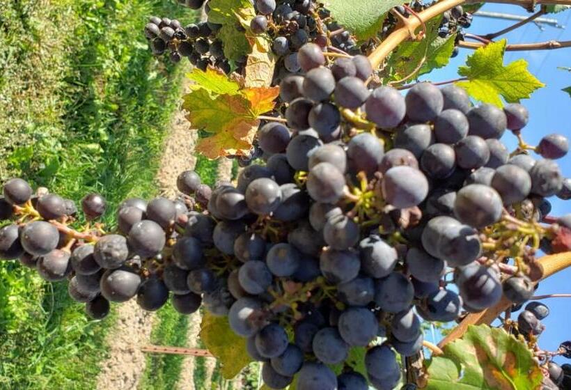 مبيت وإفطار La Maison De Sophie