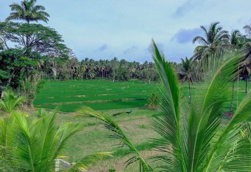 هتل Ezzenza Royal Garden Brindavan Resort