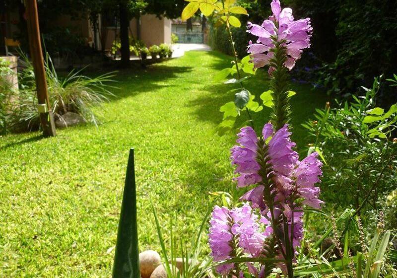 Pension Lo De La Omi