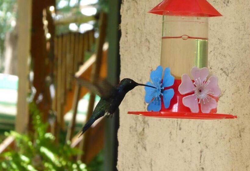 Pension Lo De La Omi