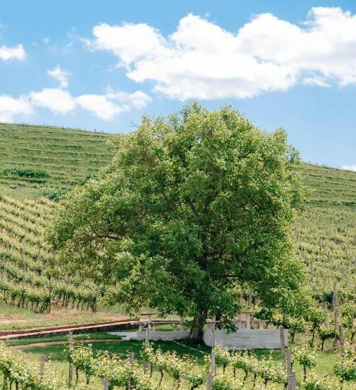 Ostello Chizay. мала гора