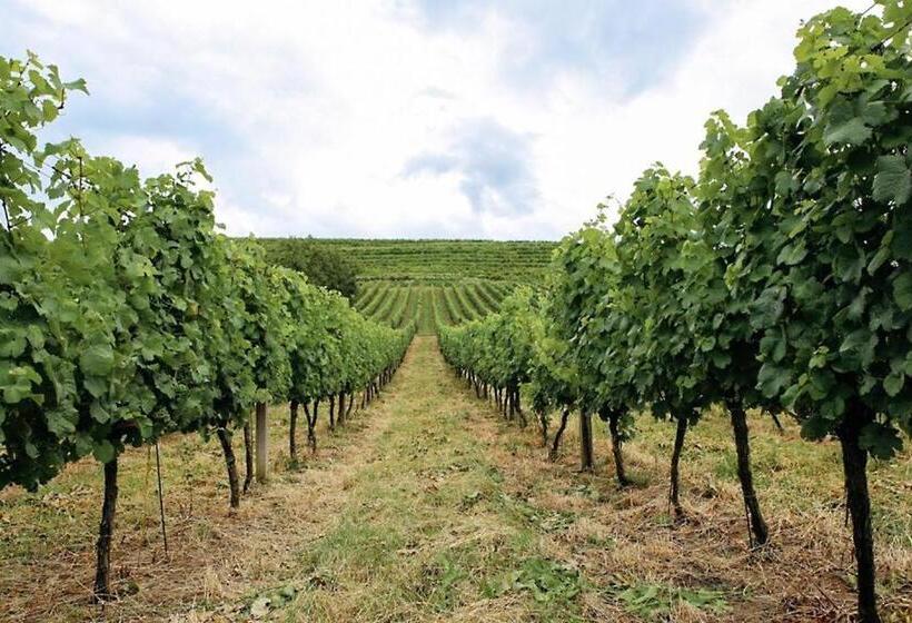 Alberg Chizay. мала гора