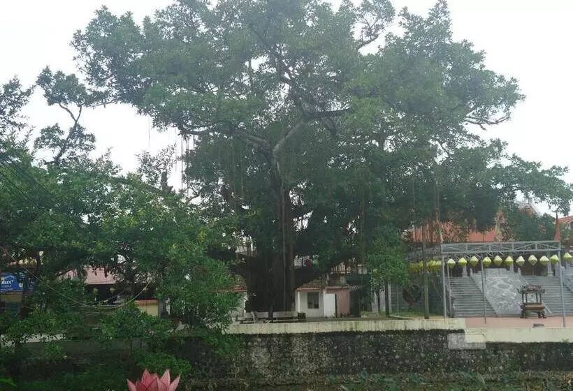 تختخواب و صبحانه Green Space Homestay