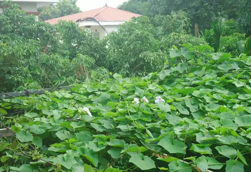 تختخواب و صبحانه Green Space Homestay