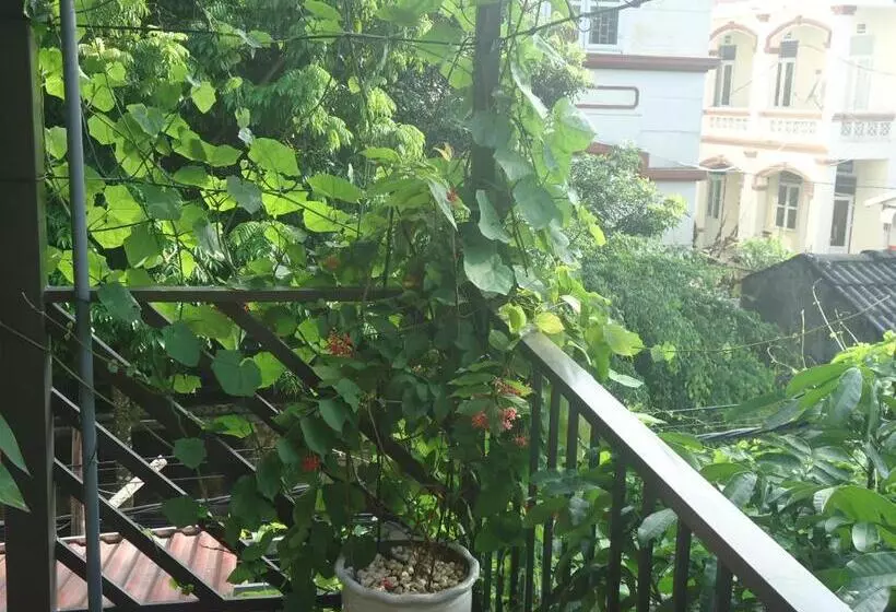 تختخواب و صبحانه Green Space Homestay