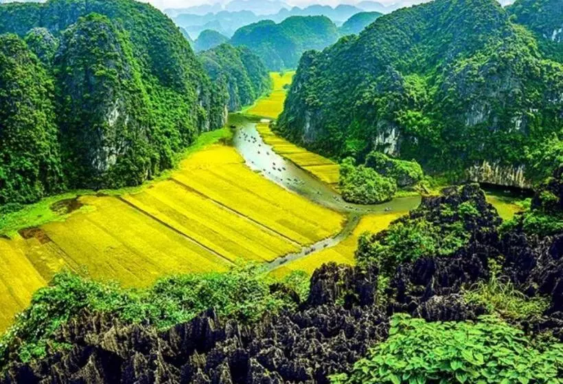 تختخواب و صبحانه Green Space Homestay