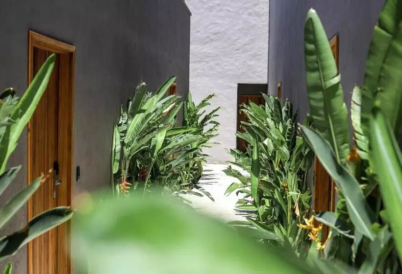 Hôtel Makena
