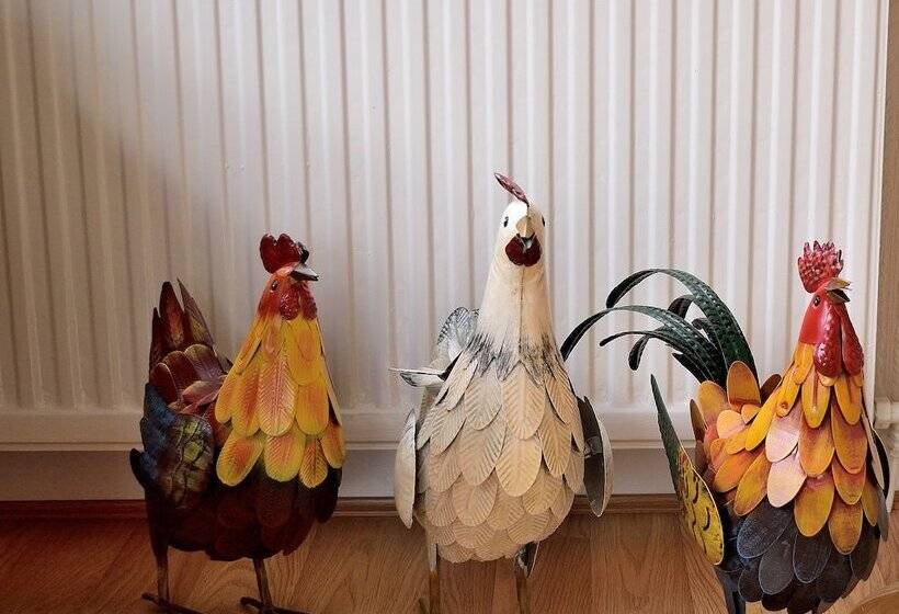 فندق Ardvane Bed & Breakfast