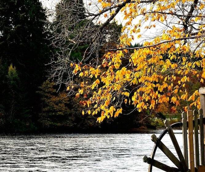 فندق Ardvane Bed & Breakfast