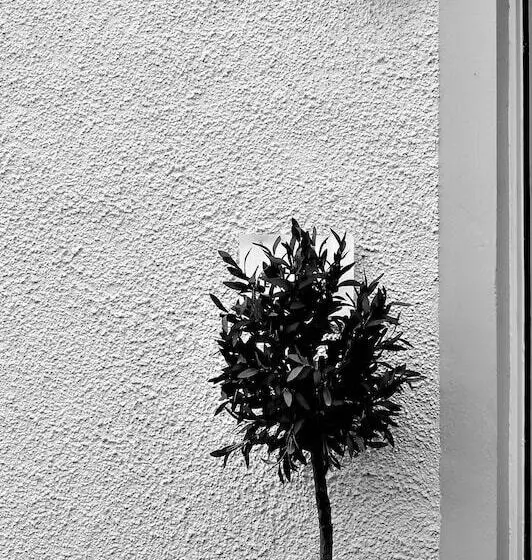 酒店 Ardvane Bed & Breakfast