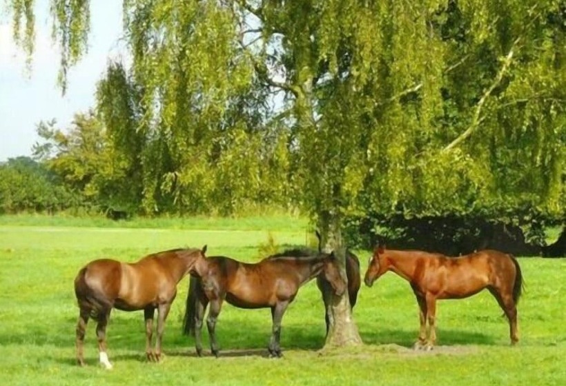 ホテル Blounts Court Farm