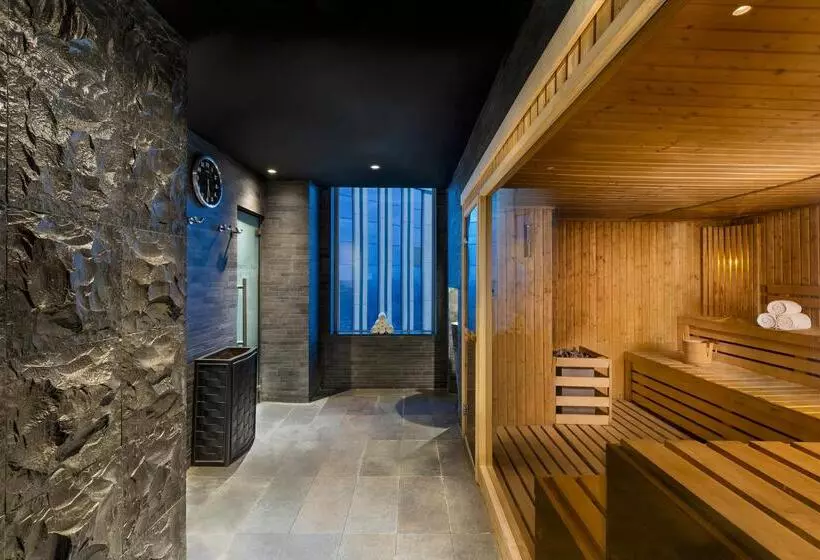 هتل Fairmont Nile City