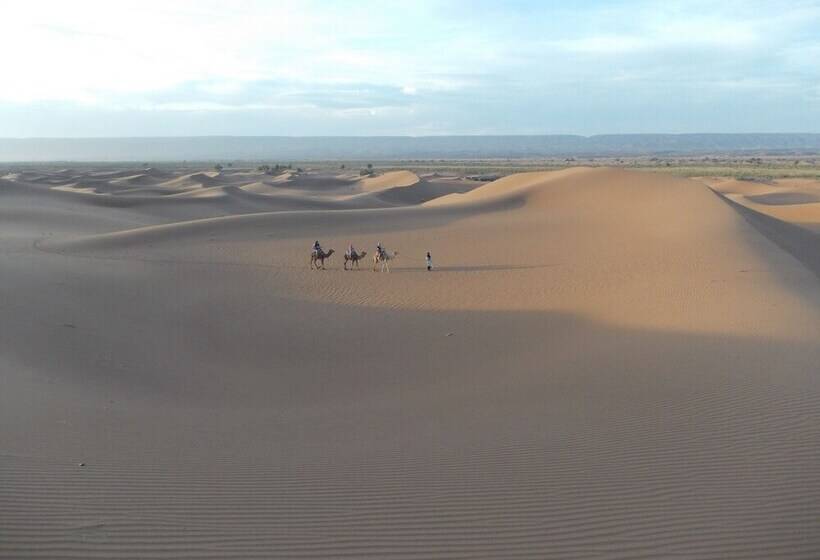 فندق La Perle Du Draa