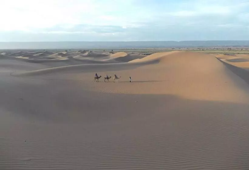 هتل La Perle Du Draa