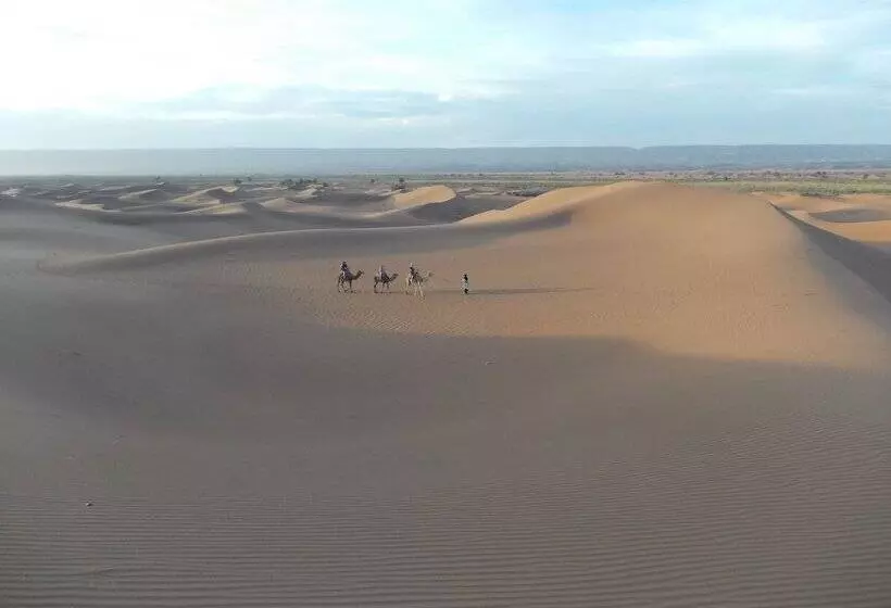 هتل La Perle Du Draa