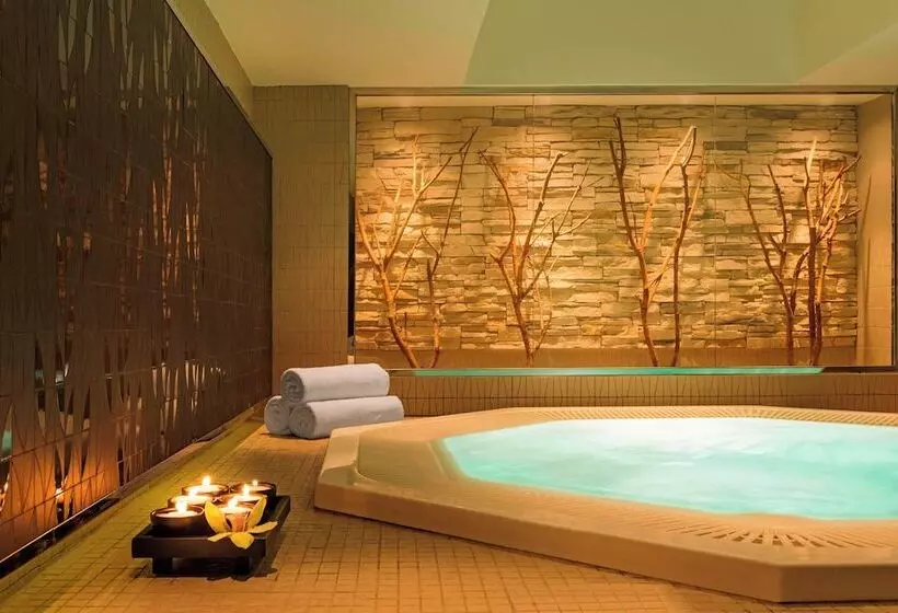 هتل The Westin Dubai Mina Seyahi Beach Resort And Waterpark