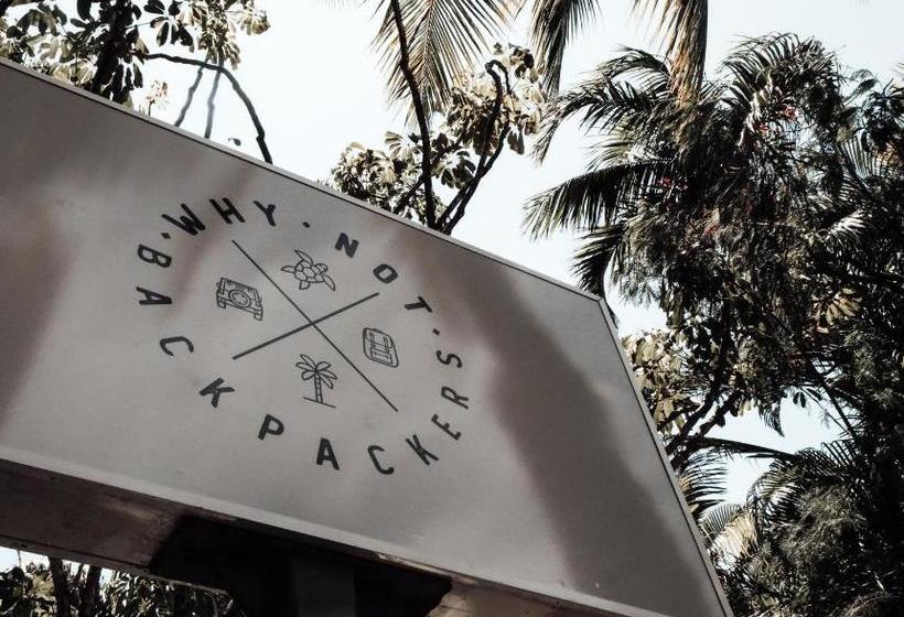 בית מלון כפרי Why Not Backpackers