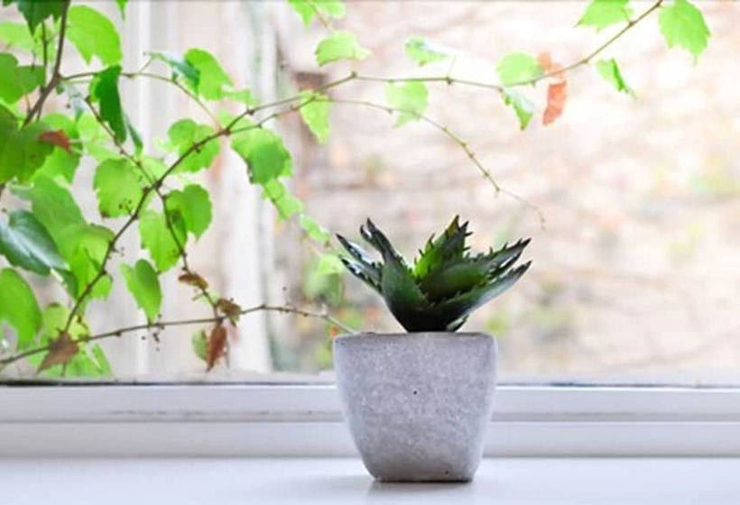 Maitre Hotel Boutique