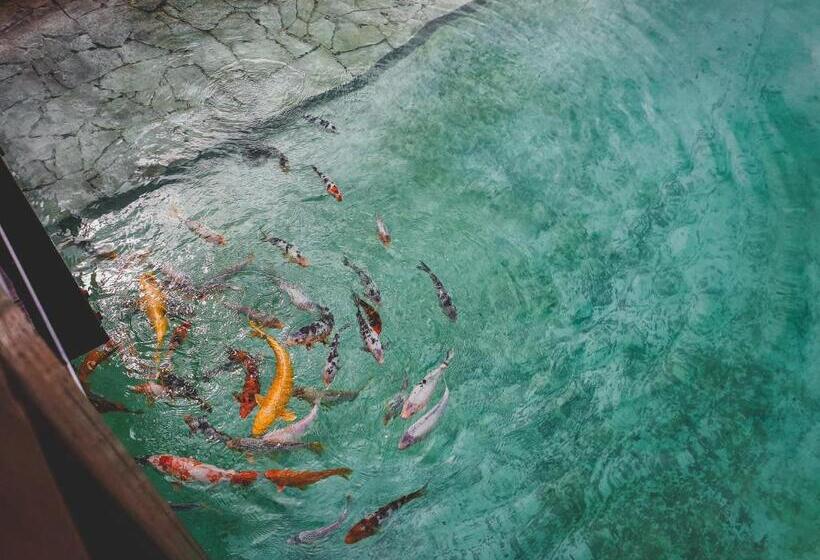 Отель трипільське сонце