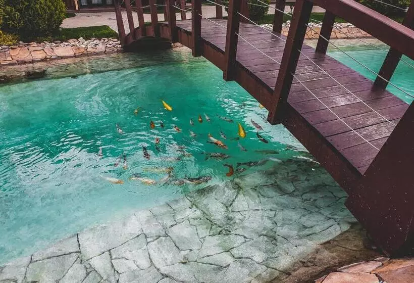 ホテル трипільське сонце