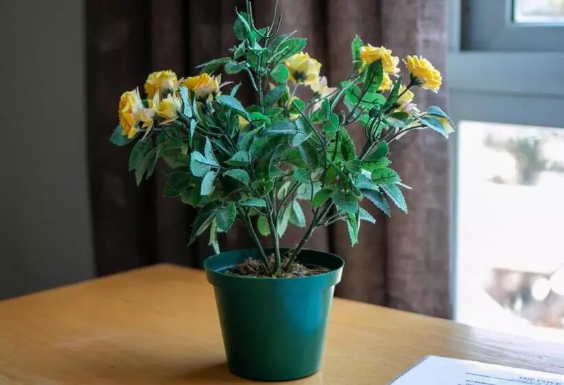 Hotelli False Bay Inn