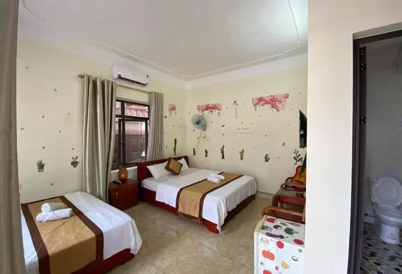 هتل Ha Long Fancy
